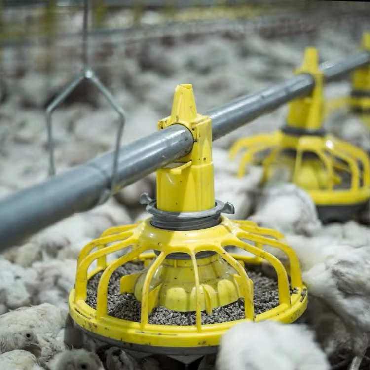 Landwirtschaftliche Ausrüstung – Farming Agriculture Equipment Bewertung und Preis