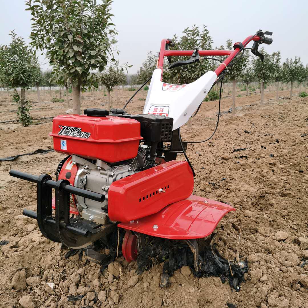 Hochproduktiver, Langlebiger A – Farming Jobs Bewertung und Preis